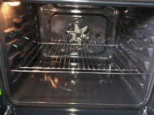 professional oven cleaner worthing